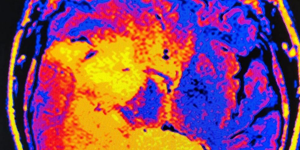 WhatsApp Image 2023-10-30 at 15.49.13